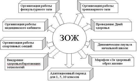 Схема составляющих зож